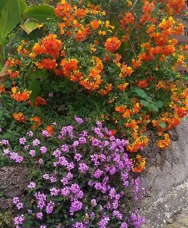 With Huge Deck Nestled In Marvelous Gardens - Nidos