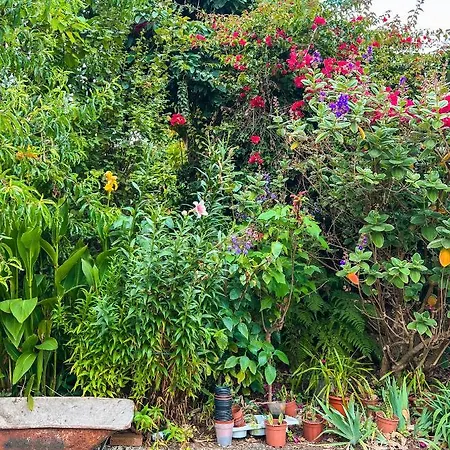 Appartamento With Huge Deck Nestled In Marvelous Gardens - Nidos La Orotava