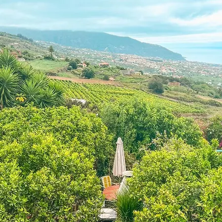 With Huge Deck Nestled In Marvelous Gardens - Nidos *