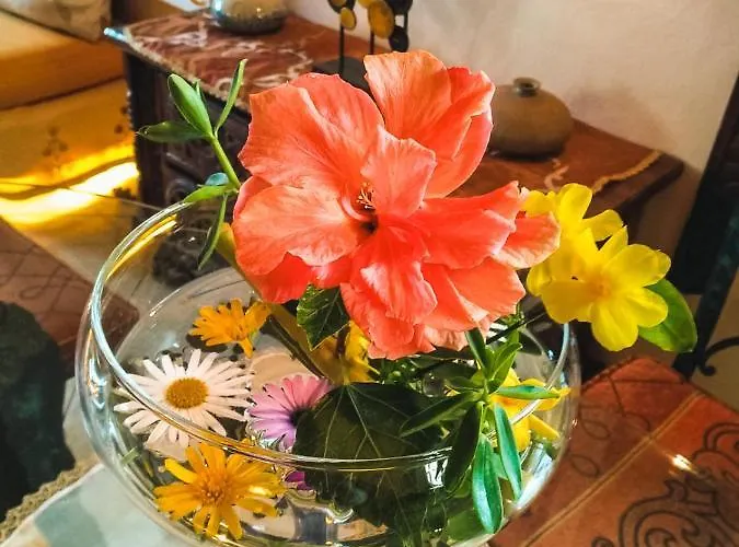 With Huge Deck Nestled In Marvelous Gardens - Nidos