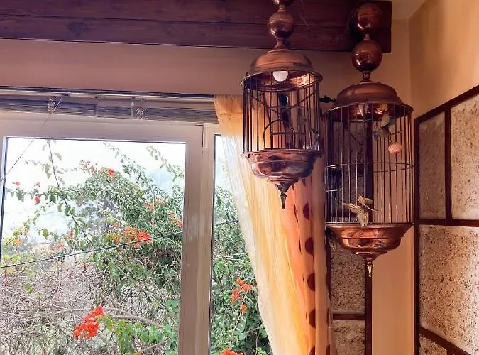 Apartment With Huge Deck Nestled In Marvelous Gardens - Nidos