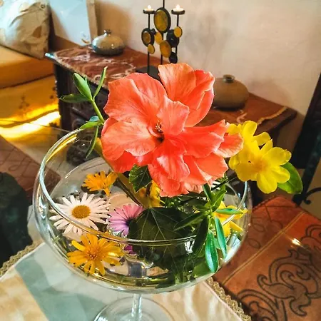 With Huge Deck Nestled In Marvelous Gardens - Nidos