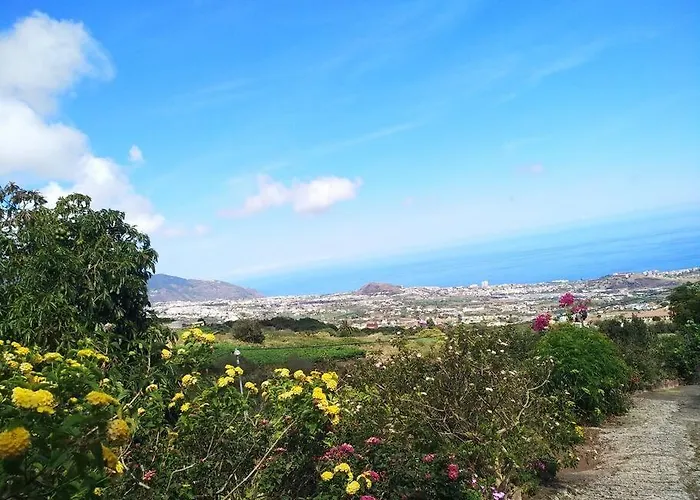 Appartement With Huge Deck Nestled In Marvelous Gardens - Nidos La Orotava