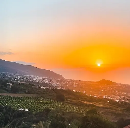 With Huge Deck Nestled In Marvelous Gardens - Nidos * La Orotava