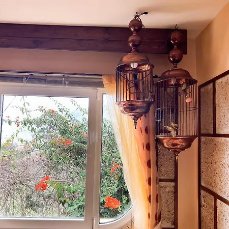 דירה With Huge Deck Nestled In Marvelous Gardens - Nidos
